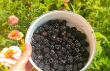 Holiday home Anica - Foto 6