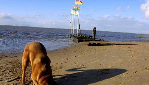 Ferienhaus Cordes, FeWo Vermittlung Nordsee - Foto 4