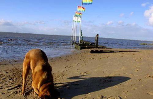 Ferienhaus Cordes, FeWo Vermittlung Nordsee - Foto 4