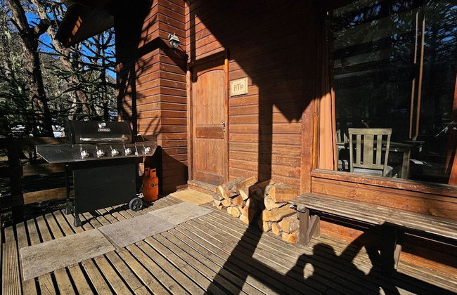 Oceana Suites Corralco - Photo 37