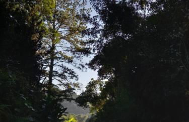 Casa Luna próximo ao Animália Park - Foto 13