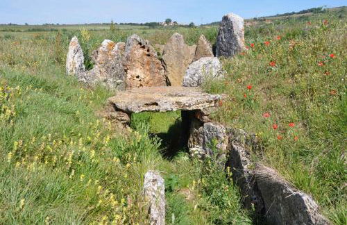 El Abrigaño del Cañón - Photo 50
