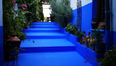 La Seguiriya - Photo 2