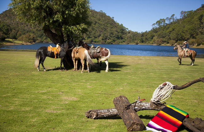 Sierra Lago Resort & Spa - Foto 77