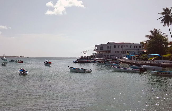 Eco Park Inn - Foto 35