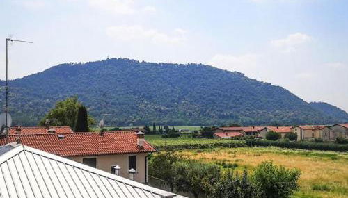 Grappolo X 6 - Foto 5