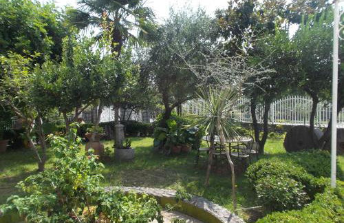 Il nespolo - Photo 11