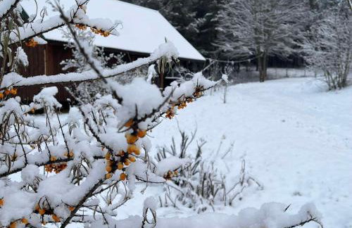 Drewniany Domek w Zakątku Andrzeje Śniczany 18 - Photo 70