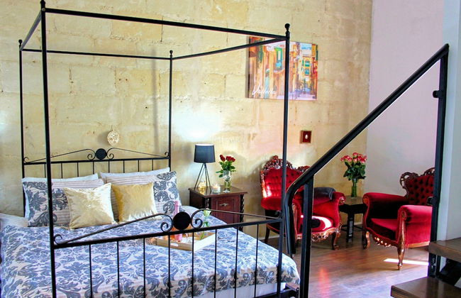 Maltese Maltese - Foto 32