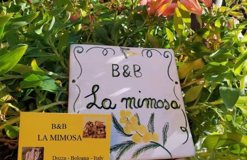 La Mimosa - Photo 2