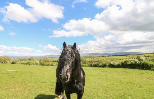 Apple Tree Cottage - Foto 35
