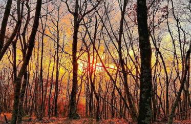 La Casa di Orazio - Foto 36