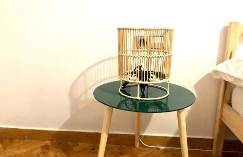 Tucan tropical - Foto 12