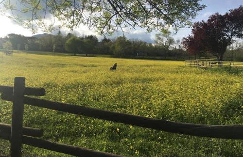 La Casa Amarilla de Cercedilla - Foto 32