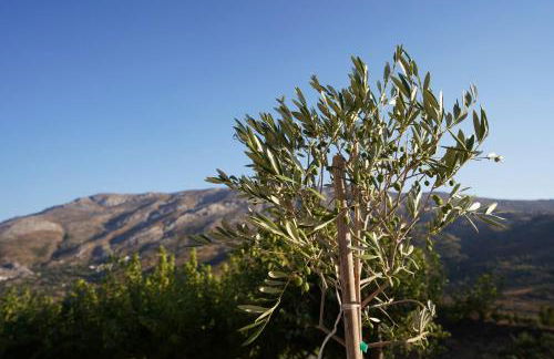 Villa Tzekos - Foto 49