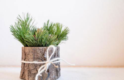 Marenklhof - Photo 10