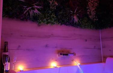 Le Parc, logement de charme avec SPA privatif - LE HAVRE - Foto 9