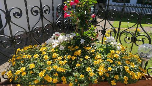 FeWo Steckenbergblick/Gästecard - Foto 3