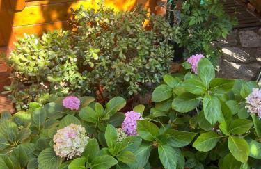 Cabana a 15 minutos do Guincho - Foto 31