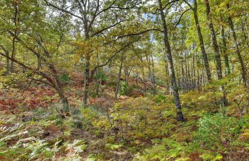 Apartamentos Rurales Entre Fuentes - Foto 47