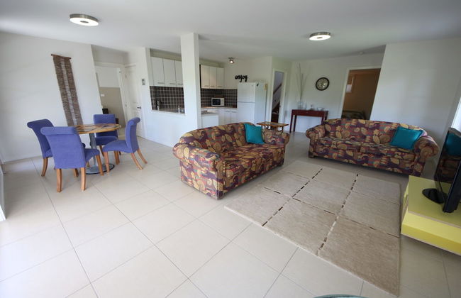 Geckos at South West Rocks - Photo 6