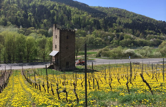 Tante Agnes - Foto 41