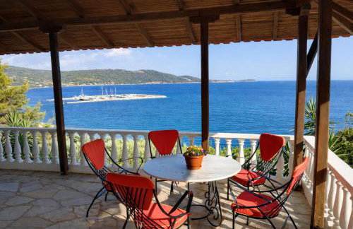 Blue Dandelion - Photo 6