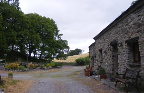 Maes Madog Cottages - Foto 59