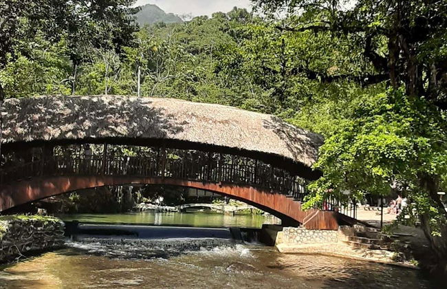 Excursão privada à reserva Santa Elena + Nascente do rio Tioyacu - Foto 1