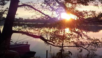 Appartementhof Fastnacht am See - Foto 2