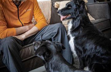 Ferienhaus ScheunenRefugio - Foto 51