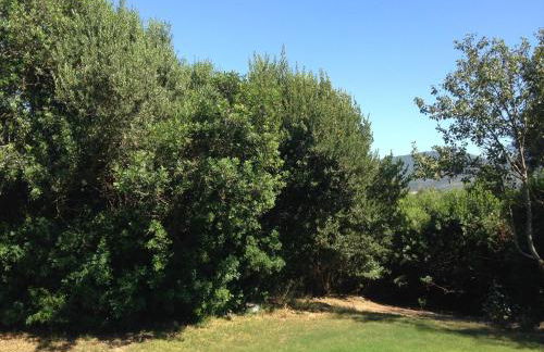 Agriturismo Il Paradiso - Foto 70