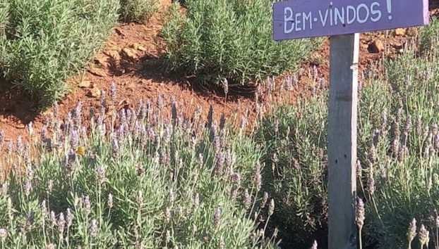 Escursione a Morro Reuter e Ivoti - Foto 4