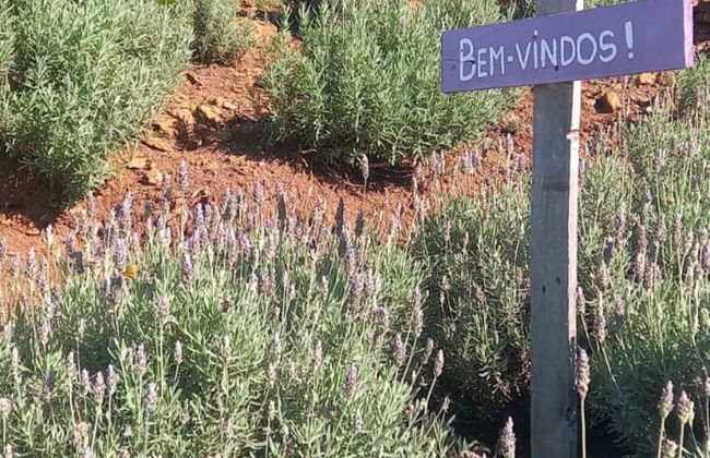 Escursione a Morro Reuter e Ivoti - Foto 4