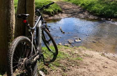Luxe, landelijke vakantiewoning der alte Birnenbaum Duitsland-Sankt Wendel - Foto 61