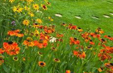 Sjesta al mare, domki z sauną i balią z jacuzzi - Foto 25