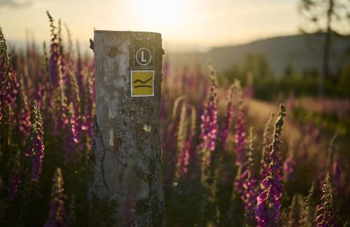 Ferienwohnung Rumphorst - Photo 28