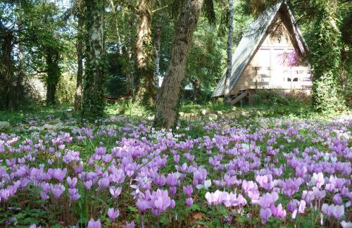 La Rossignolerie - Cabane aux oiseaux - Foto 12
