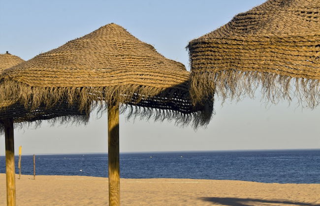 Dunas do Alvor - Torralvor - Foto 19