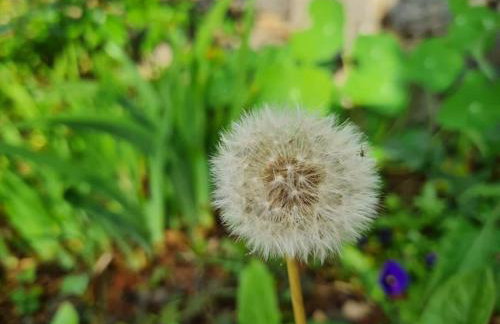 Zgora mora-above the sea-peacefull,family frendly - Foto 25