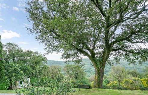 Podere Frassinelli - Foto 8