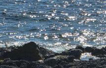 La Casetta di Camelia - Foto 68