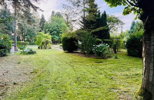 Ferienhaus im Grünen - Entspannen mit Alpakas - Foto 15