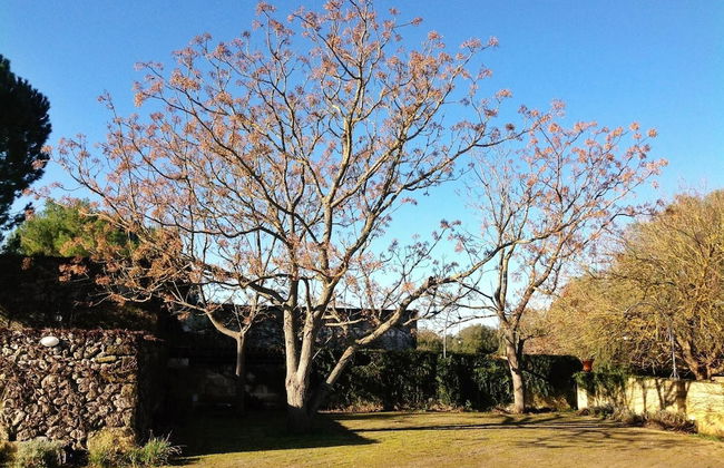 Tenuta Sant'Andrea - Foto 43