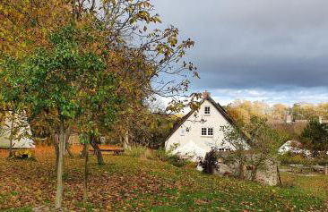 Apartment Kliemkiker, Nähe Binz in traumhafter Alleinlage - Foto 25