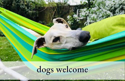 Parterre Lounge mit Terrasse -Nähe Karlsruhe & KIT - ohne Treppen -barrierefreie Dusche - Foto 6