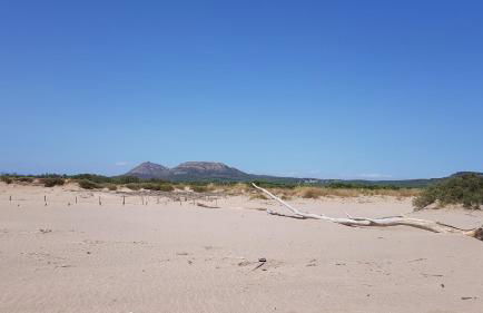 Acacies 25 - Foto 30