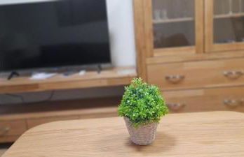 EnFOZ Playa A Rapadoira - Foto 25