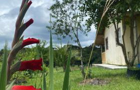 Chácara Morango do amor - Foto 2