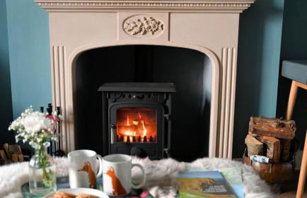 Little Egret - Foto 1